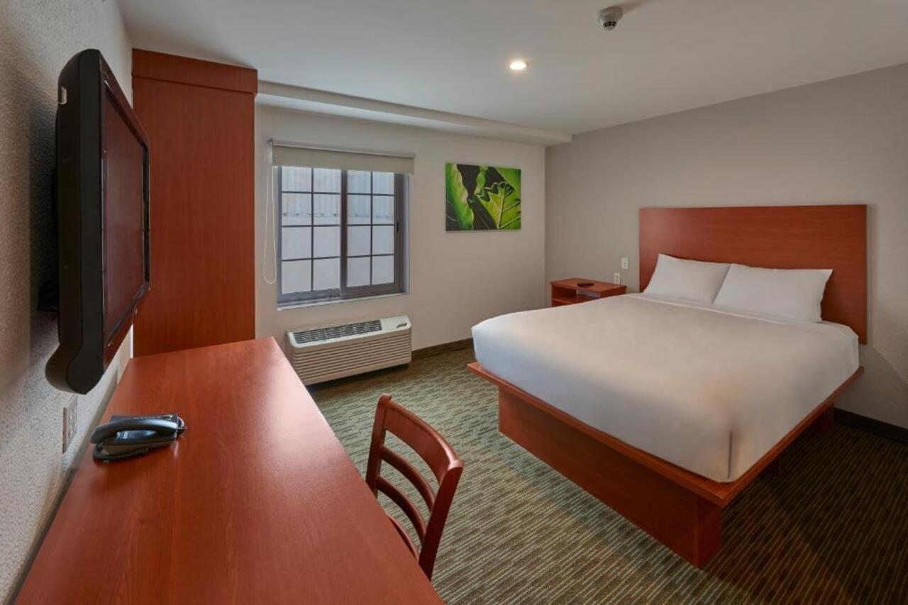 Extended Suites Monterrey Aeropuerto Apodaca Eksteriør billede